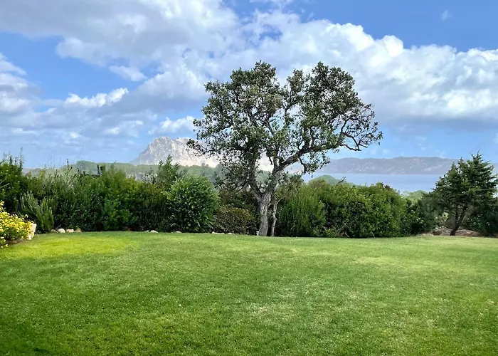 Villa Salinedda Giardino Vista Mare